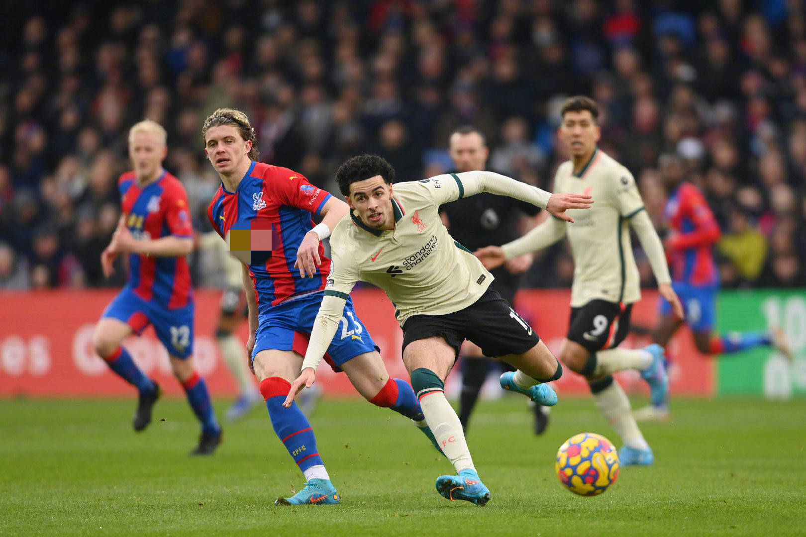 作为亚洲最 作为亚洲最